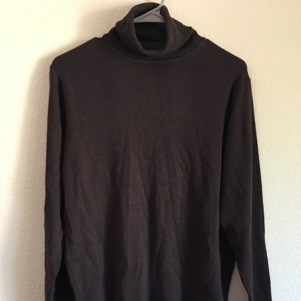 Zara Knit Turtleneck Sweater